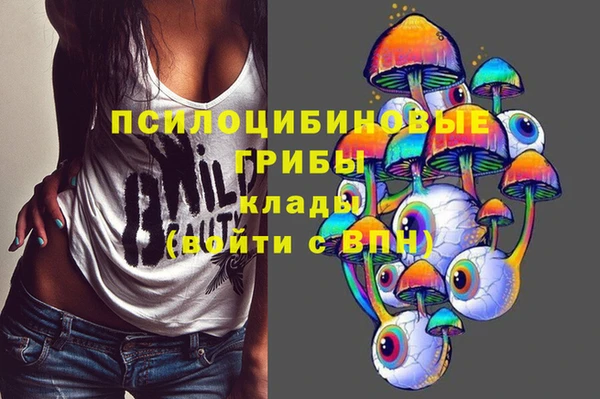 дживик Навашино