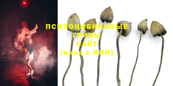дживик Навашино