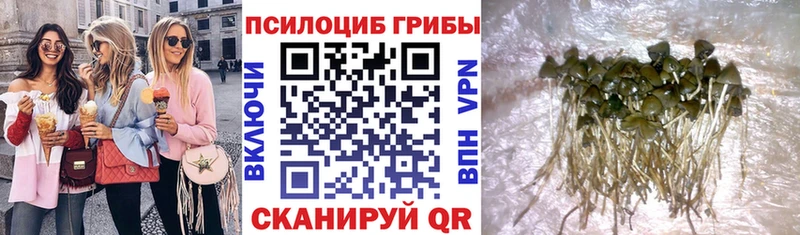 Купить закладки Самара Псилоцибиновые грибы Magic Shrooms